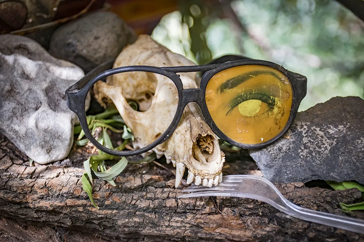 Animal skull propped behind broken glasses with a printed eye in one lens